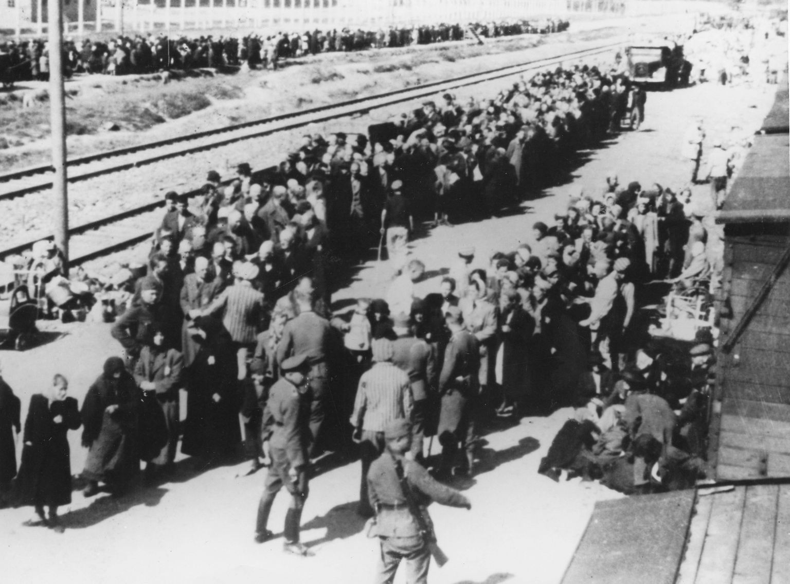 "Eine Welt der Toten und Larven": Die Befreiung von Auschwitz - n-tv.de