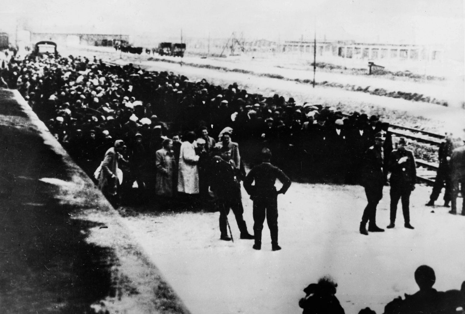 "Eine Welt der Toten und Larven": Die Befreiung von Auschwitz - n-tv.de