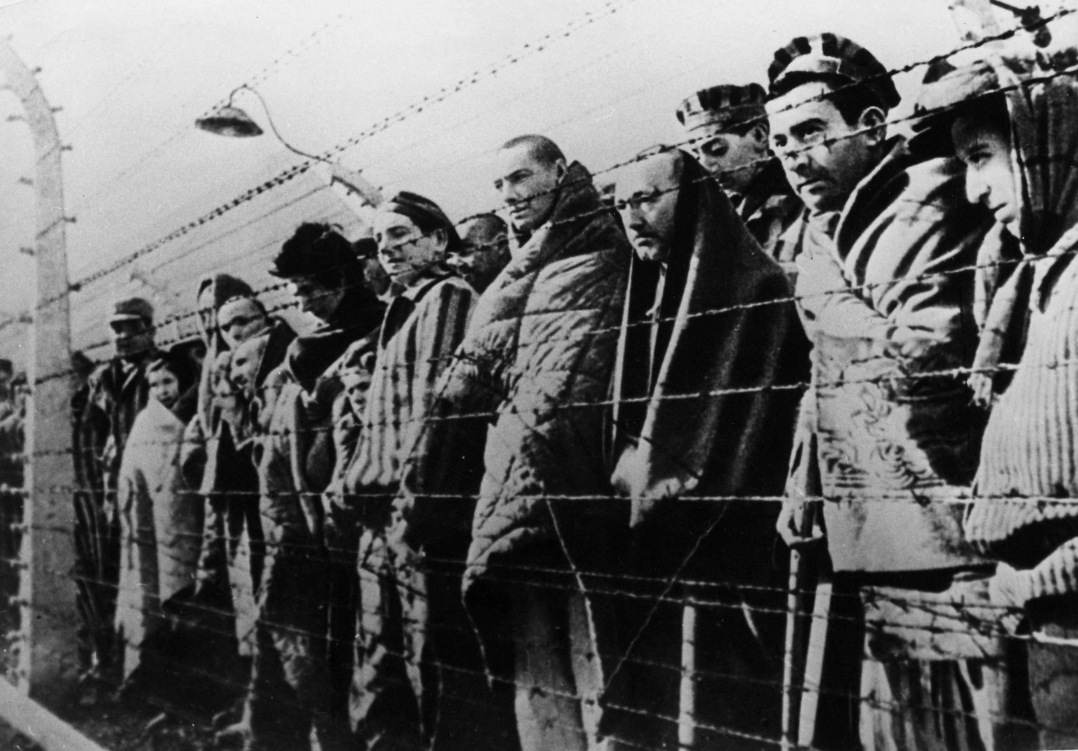 "Eine Welt der Toten und Larven": Die Befreiung von Auschwitz - n-tv.de
