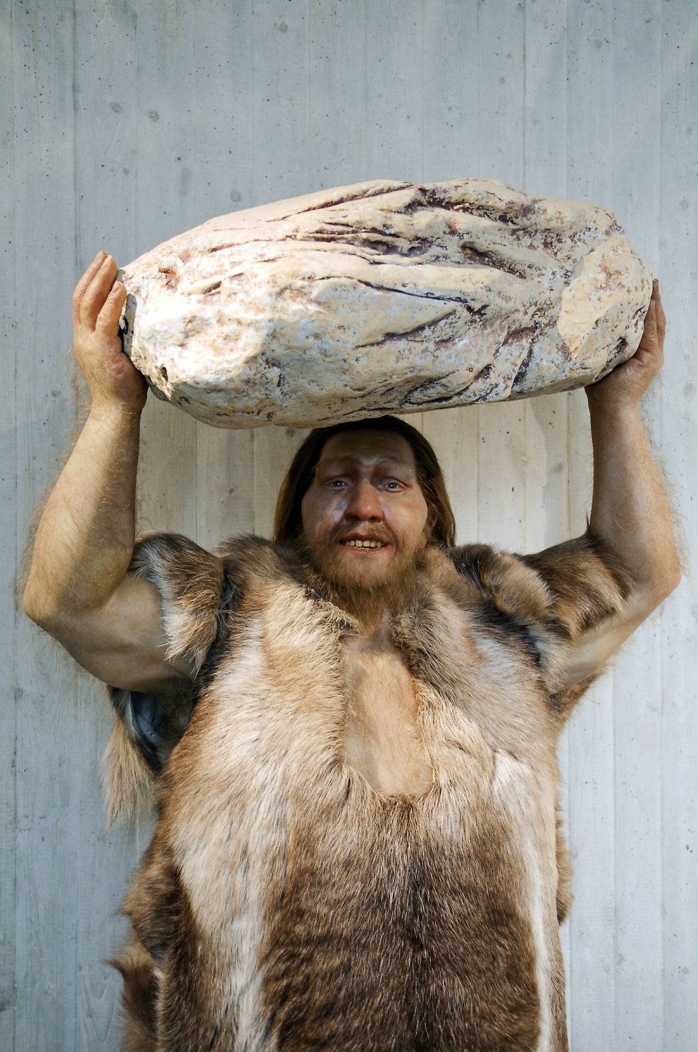 Wie Lange Gibt Es Den Homosapien