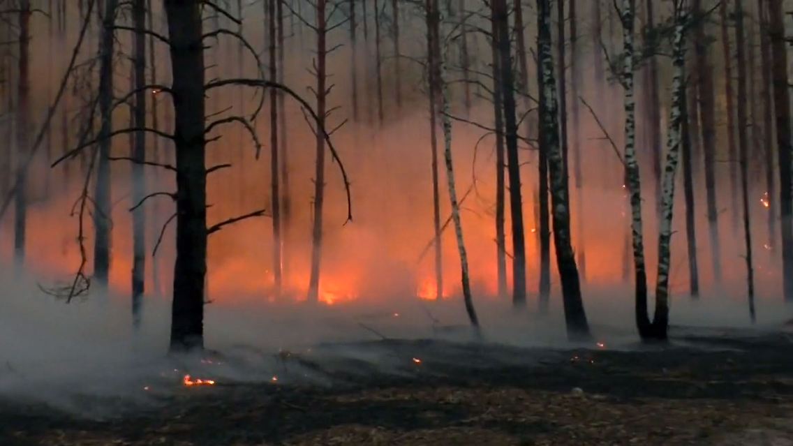 Быстровозводимые дома в Краснодар недорого