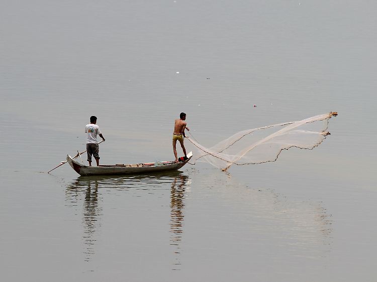 Lecker, gesund, bedroht: Welche Fische darf man kaufen? - n-tv.de