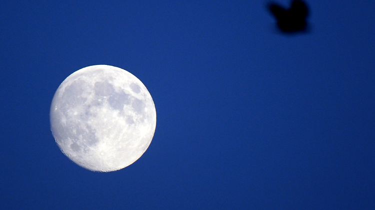 Warum Fliegt Man Nicht Mehr Zum Mond