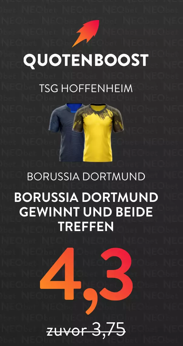 TSG Hoffenheim vs. Borussia